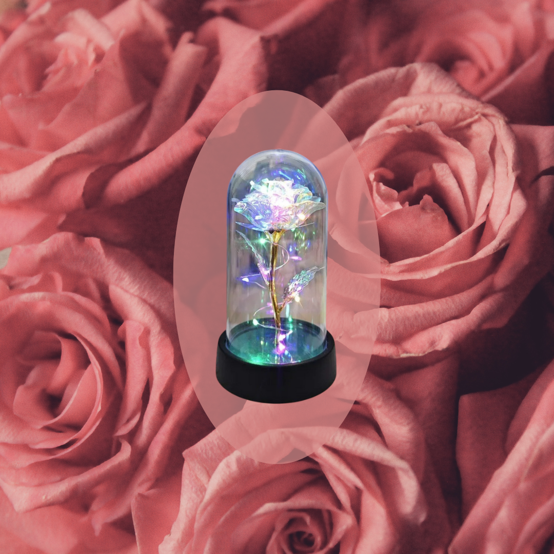Eternal LED Light Rose For Valentine's Day