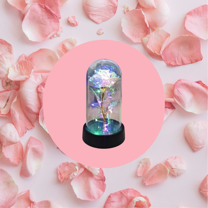 Eternal LED Light Rose For Valentine's Day