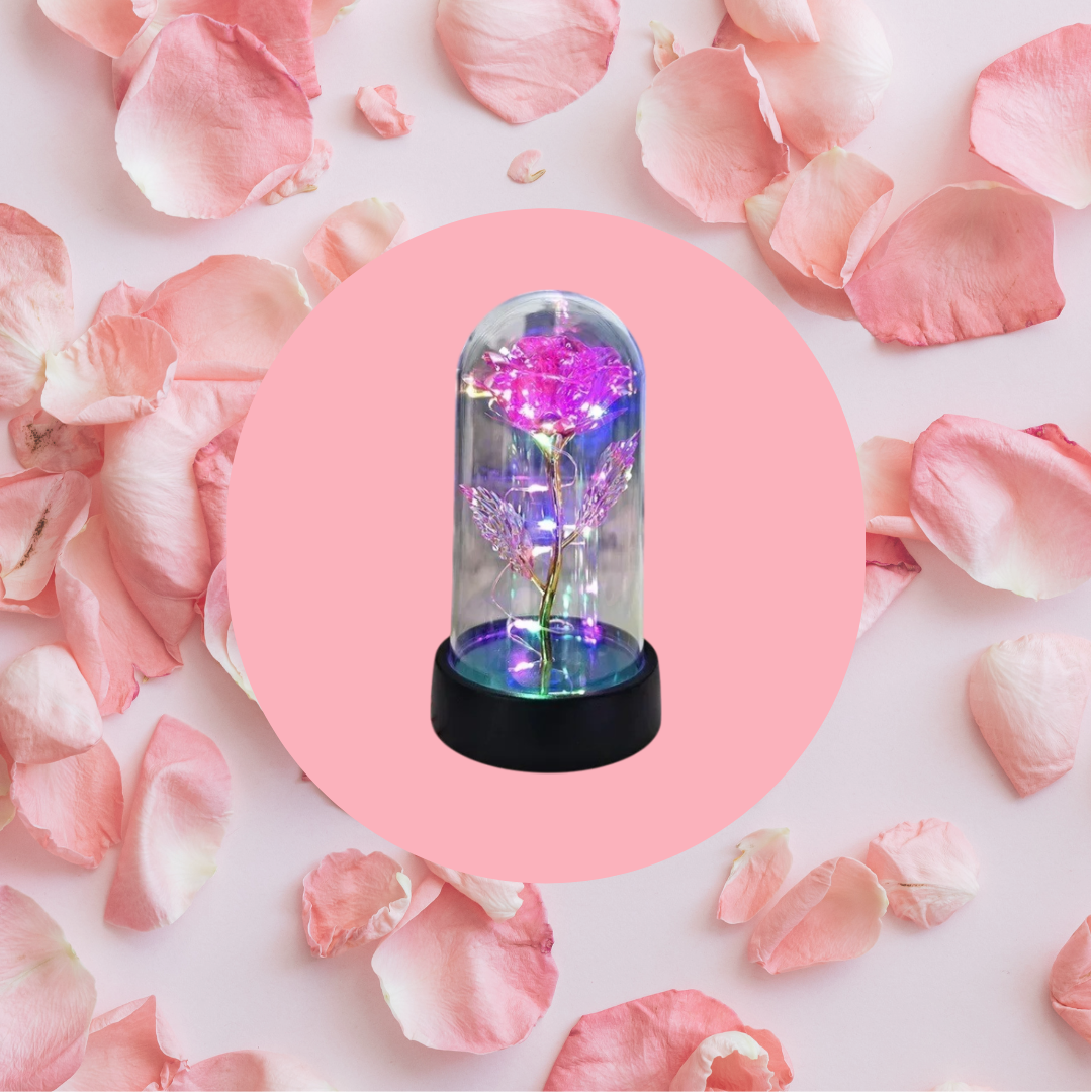 Eternal LED Light Rose For Valentine's Day