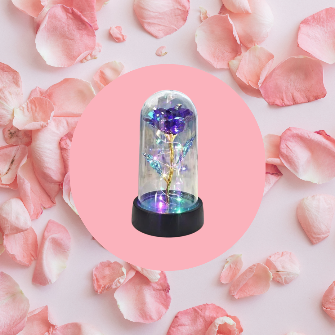 Eternal LED Light Rose For Valentine's Day