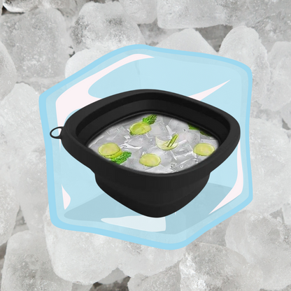 Facial Ice Bath Bowl