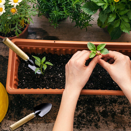 Sturdy Wooden Handle Gardening Tools Set