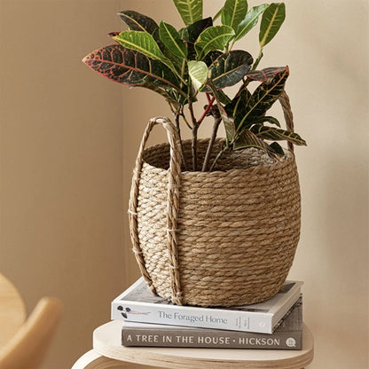 Woven Indoor Plant Pot Baskets