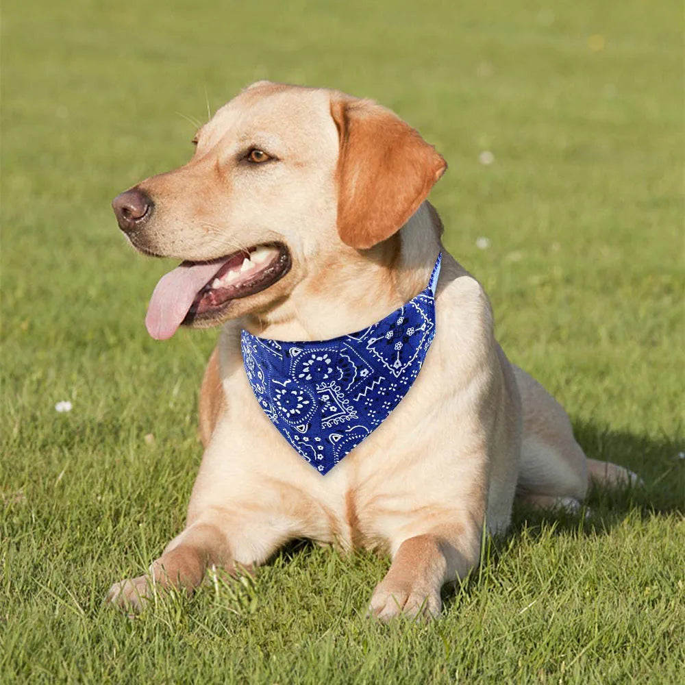 Colorful Adjustable Pet Bandanas