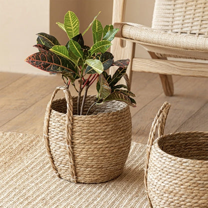 Woven Indoor Plant Pot Baskets