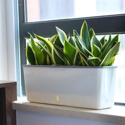 Self-Watering Double Layer Modern Planter Pot