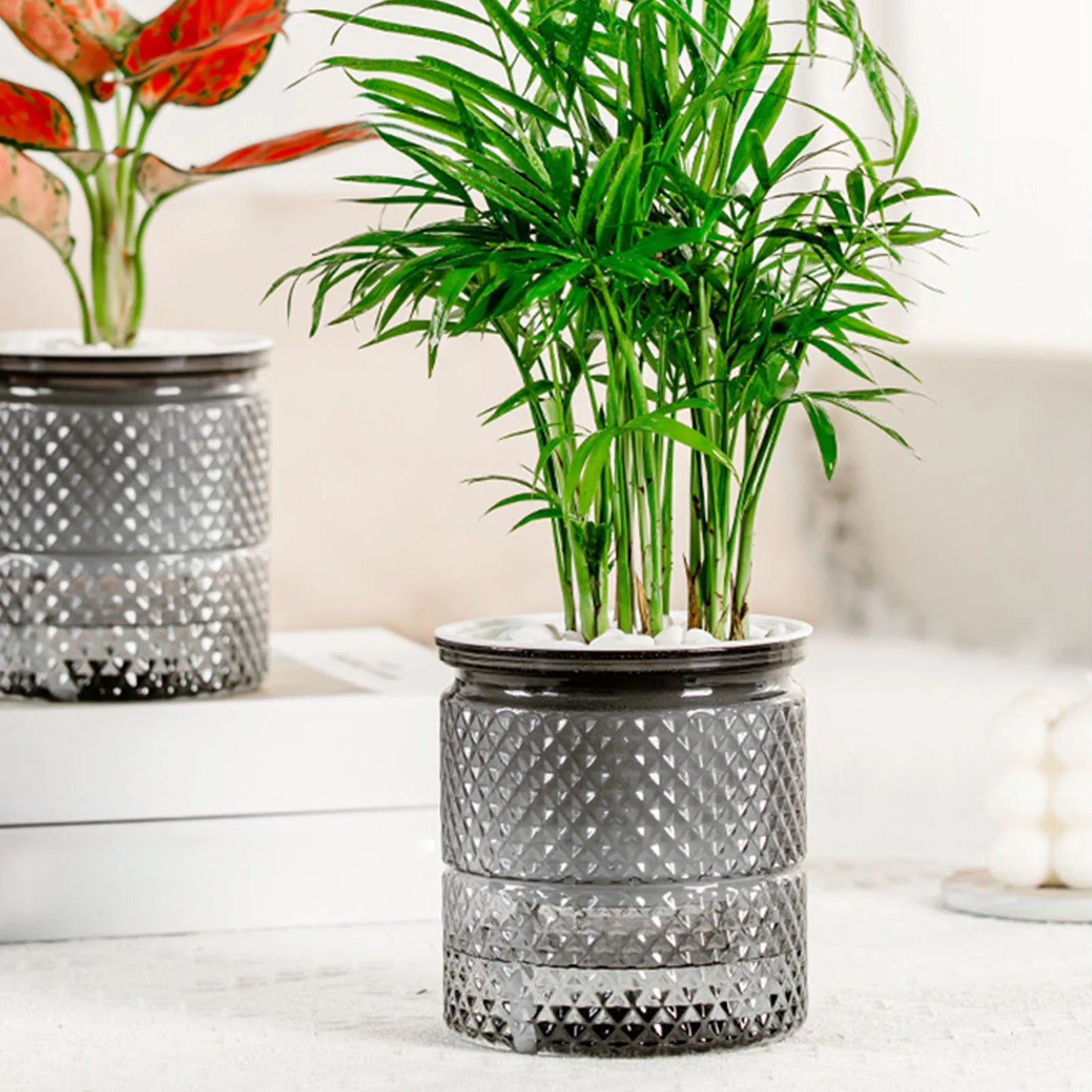 Water Absorbing Plastic Plant Pot